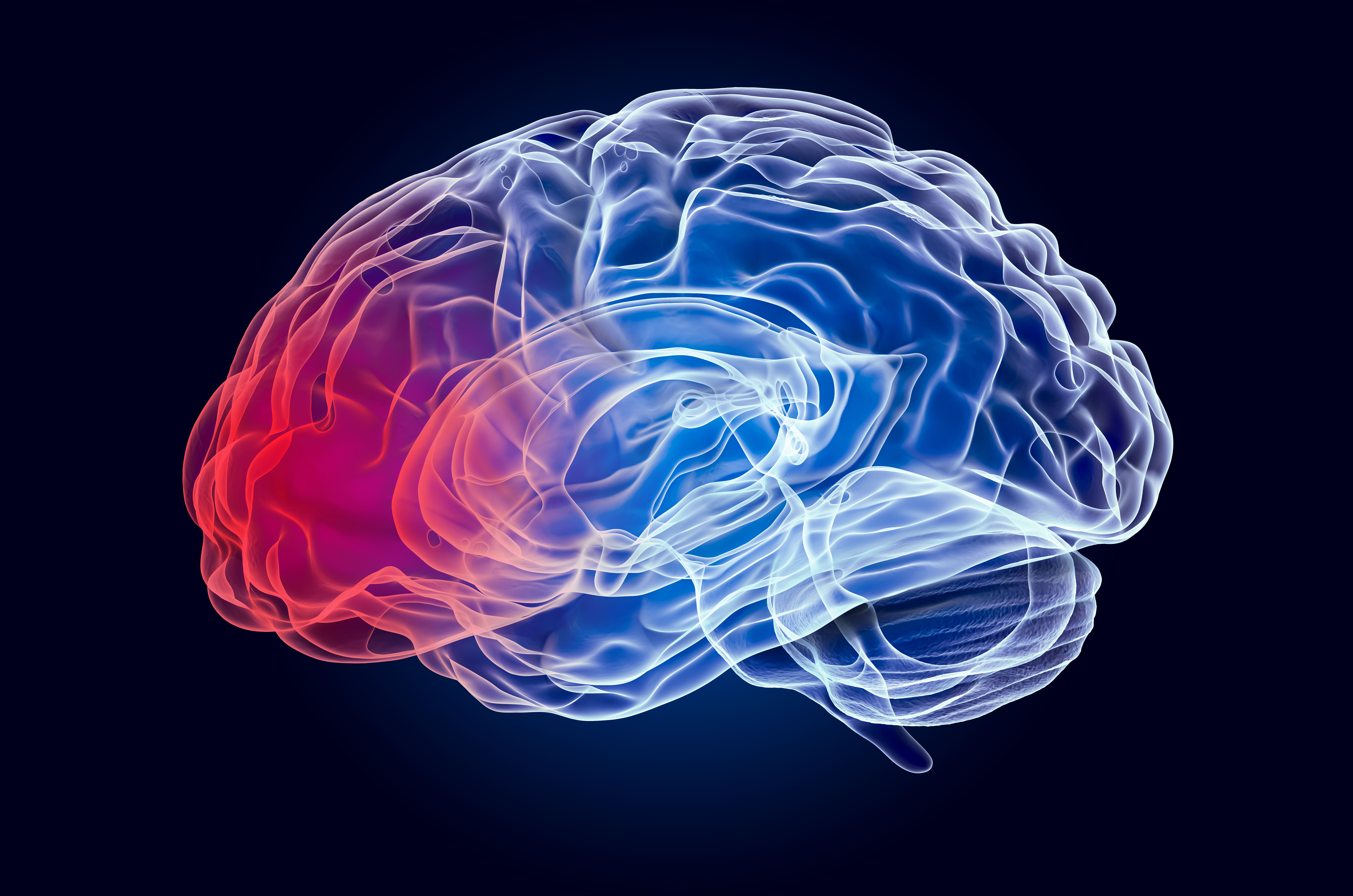 brain injury attorneys texas